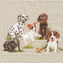 ５枚組ペーパーナプキン＊Playing Puppies