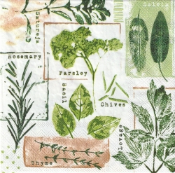 ５枚組ペーパーナプキン＊Herb Print