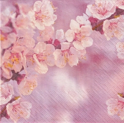 ５枚組ペーパーナプキン＊Sweet Cherry