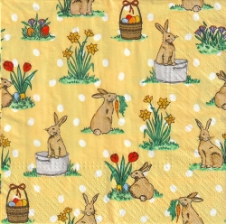 ５枚組ペーパーナプキン＊Little Rabbits
