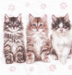 ５枚組ペーパーナプキン＊ねこ３匹
