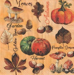 ５枚組ペーパーナプキン＊Vintage Autumn