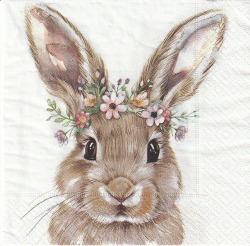 ５枚組ペーパーナプキン＊Rabbit  love