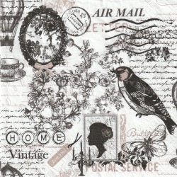 ５枚組ペーパーナプキン＊Air mail