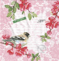 ５枚組ペーパーナプキン＊Sweet Bird