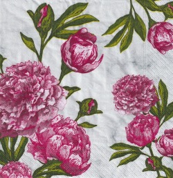 ５枚組ペーパーナプキン＊Lovely Peonies