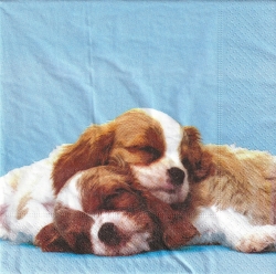 ５枚組ペーパーナプキン＊Puppy Love