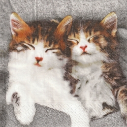 ５枚組ペーパーナプキン＊Sleepy Cats