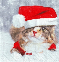 ５枚組ペーパーナプキン＊Kitten Christmas