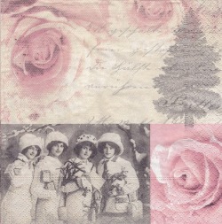 ５枚組ペーパーナプキン＊４Ladies