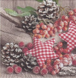 Naturally Christmas