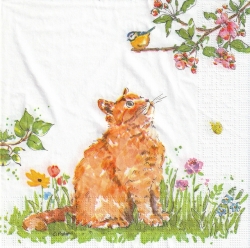 ５枚組ペーパーナプキン＊Cat & Bird