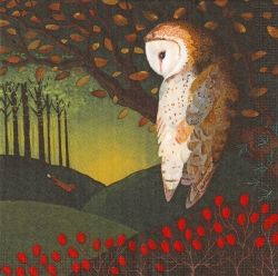 ５枚組ペーパーナプキン＊Owl's Dream
