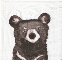 ５枚組ペーパーナプキン＊BEAR
