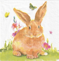 ５枚組ペーパーナプキン＊Mr.Rabbit