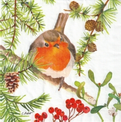 ５枚組ペーパーナプキン＊Robin in Tree