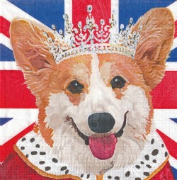 ５枚組ペーパーナプキン＊Royal Corgi
