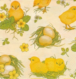５枚組ペーパーナプキン＊Chicken Field