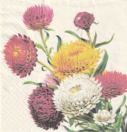 ５枚組ペーパーナプキン＊Strawflowers