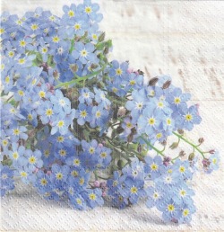 ５枚組ペーパーナプキン＊Forget me not【Ｂ】