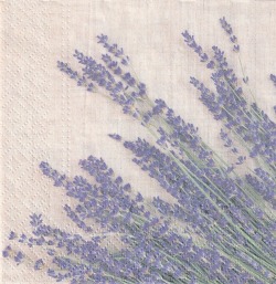 ５枚組ペーパーナプキン＊Lavender Sheaf