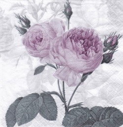 ５枚組ペーパーナプキン＊Purple Vintage Rose