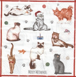 ５枚組ペーパーナプキン＊Merry Meowmas