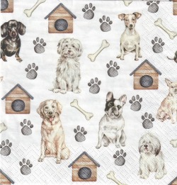 ５枚組ペーパーナプキン＊Pet Dogs