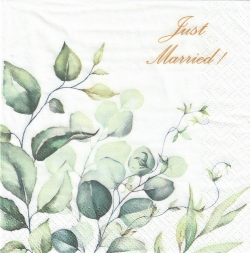 ５枚組ペーパーナプキン＊Just Married!