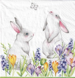 ５枚組ペーパーナプキン＊Bunnies in Spring