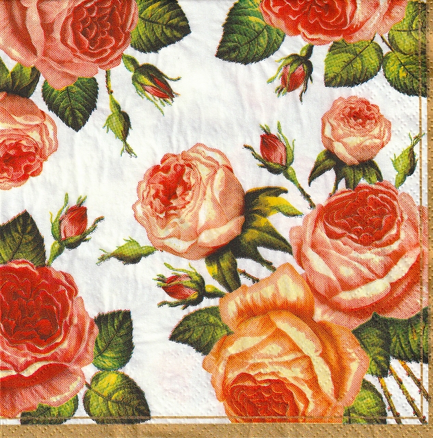 ５枚組ペーパーナプキン＊Tea Roses