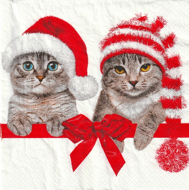 ５枚組ペーパーナプキン＊Lovely Cats