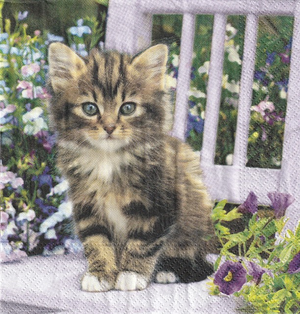 ５枚組ペーパーナプキン＊Kitty