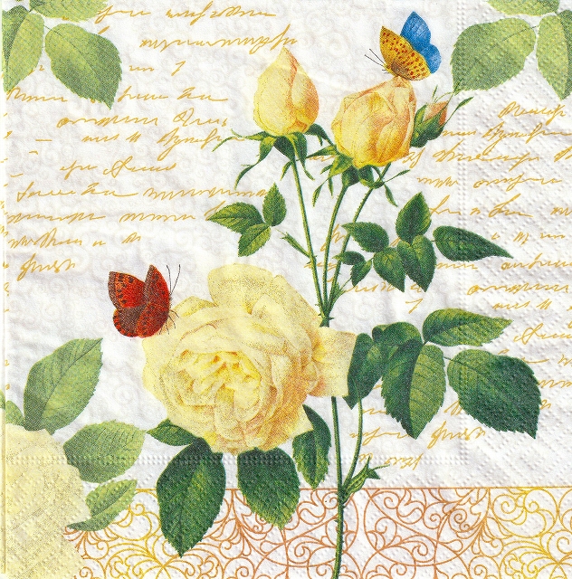 ５枚組ペーパーナプキン＊Rose Lace