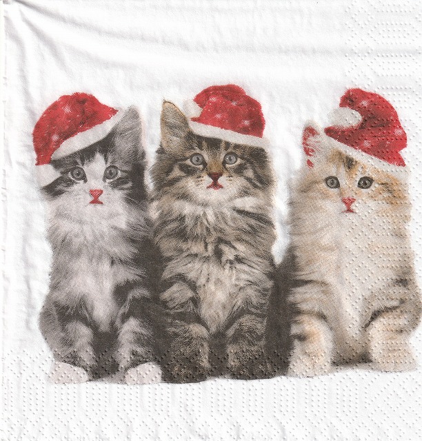 ５枚組ペーパーナプキン＊Xmas Cats