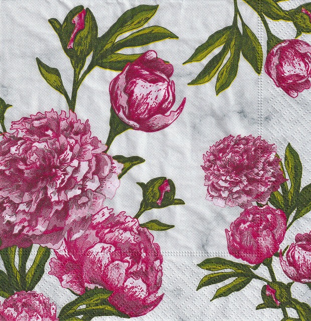５枚組ペーパーナプキン＊Lovely Peonies