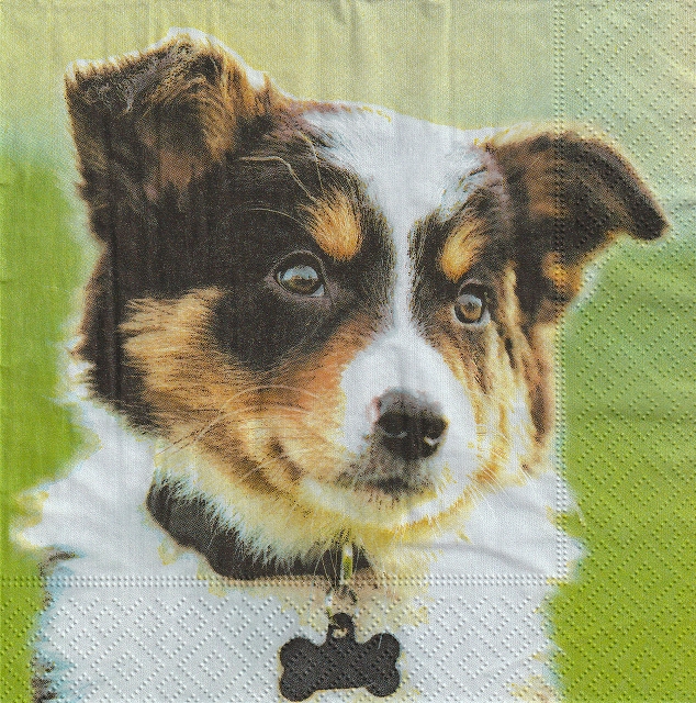５枚組ペーパーナプキン＊Sweet Dog