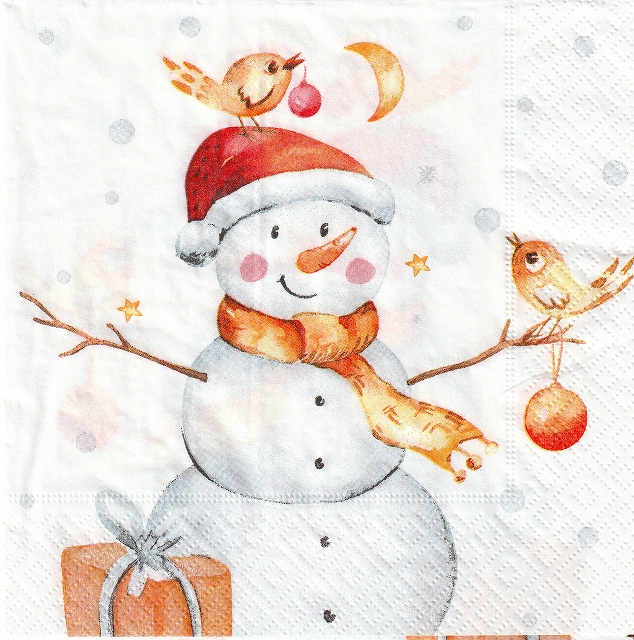 ５枚組ペーパーナプキン＊Snowy & Birds