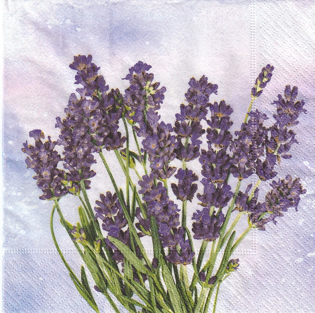 ５枚組ペーパーナプキン＊Lavender Oasis
