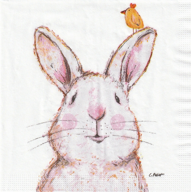 ５枚組ペーパーナプキン＊Rabbit & Friend