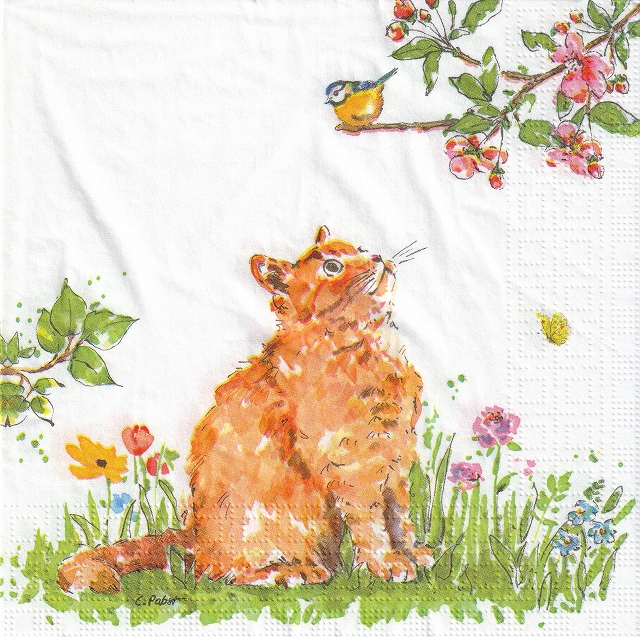 ５枚組ペーパーナプキン＊Cat & Bird