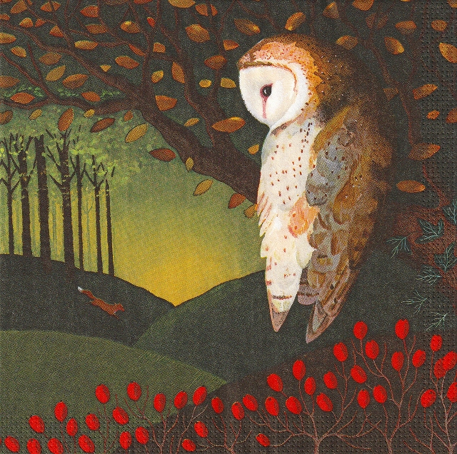 ５枚組ペーパーナプキン＊Owl's Dream