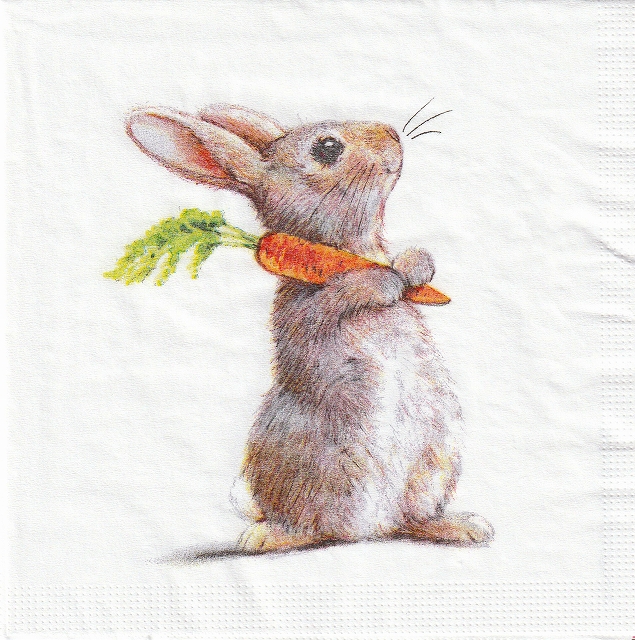５枚組ペーパーナプキン＊ラビット＆キャロット