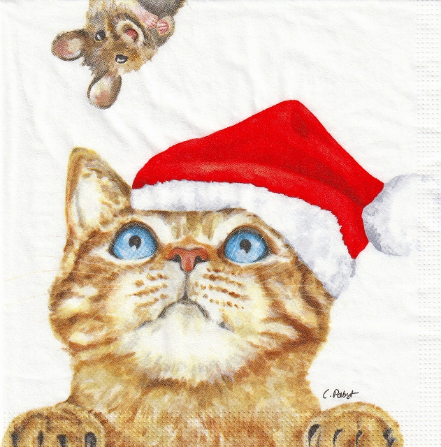 ５枚組ペーパーナプキン＊Who are you?