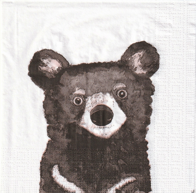 ５枚組ペーパーナプキン＊BEAR