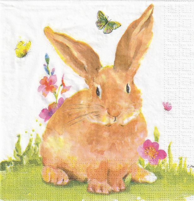 ５枚組ペーパーナプキン＊Mr.Rabbit