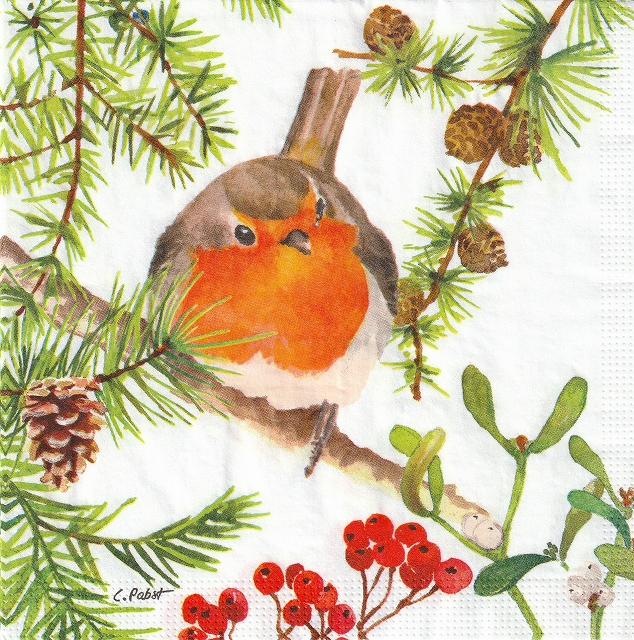５枚組ペーパーナプキン＊Robin in Tree