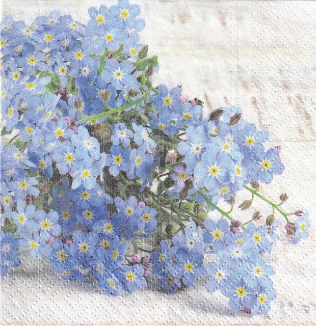 ５枚組ペーパーナプキン＊Forget me not【Ｂ】