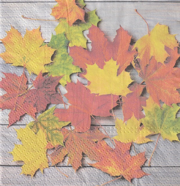 ５枚組ペーパーナプキン＊Leaves on Wood