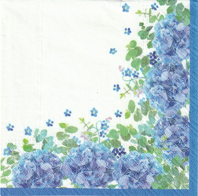 ５枚組ペーパーナプキン＊Blue Meadow